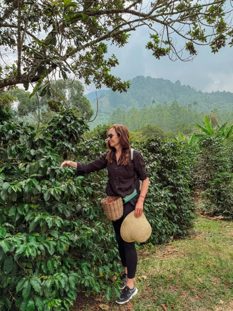 Kelly being a coffee farmer for a day